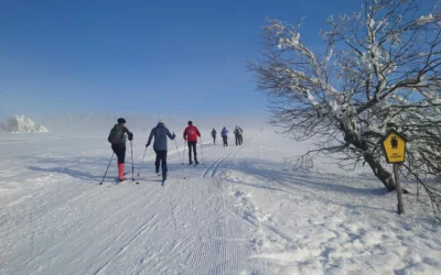 Wintertrainingslager mit dem Bogenlauf Nationalteam