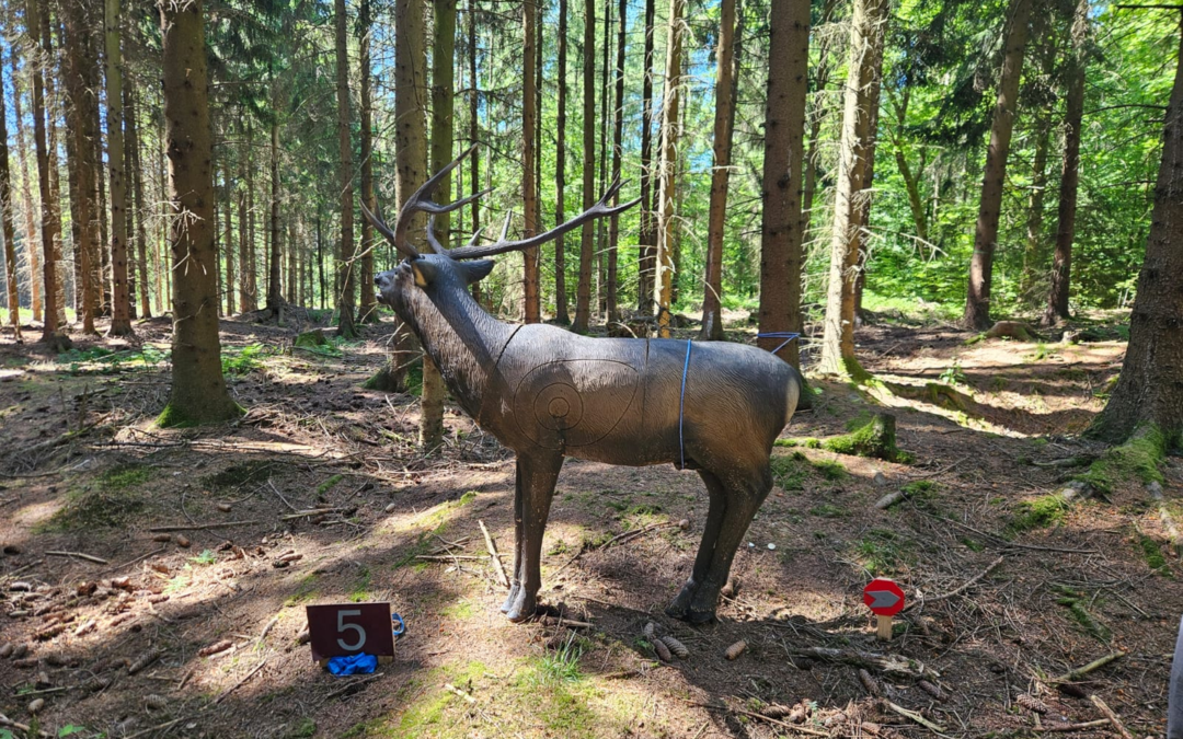 Rabensteiner Bogenjagd 2026 – Eine gelbe Weste im Wald